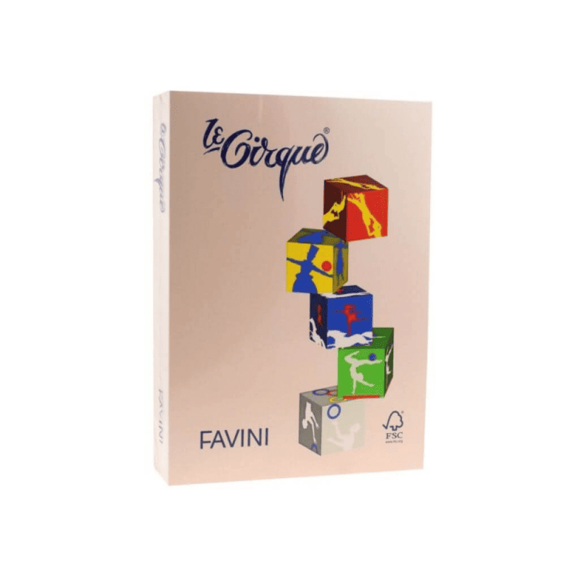 Hartie Cartonata A4 FAVINI