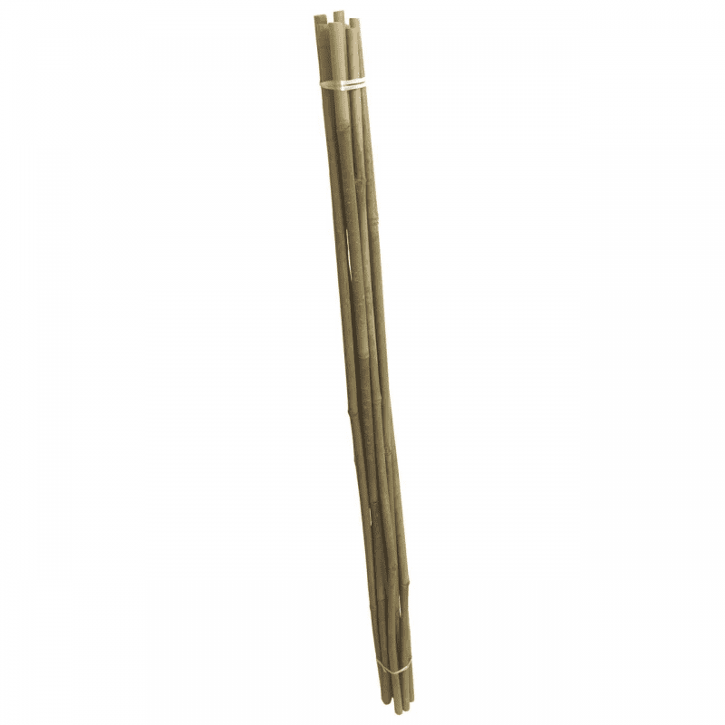 Set 10 araci din bambus Strend Pro Premium