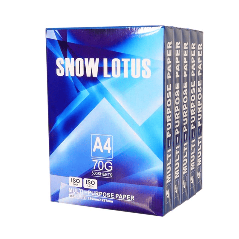 Set 5 Topuri Hartie Copiator SNOW LOTUS