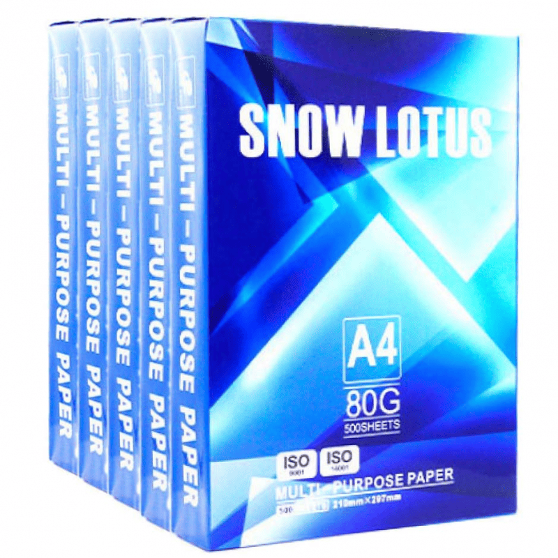 Set 5 Topuri Hartie Copiator SNOW LOTUS