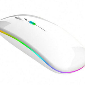 Mouse Wireless Reincarcabil
