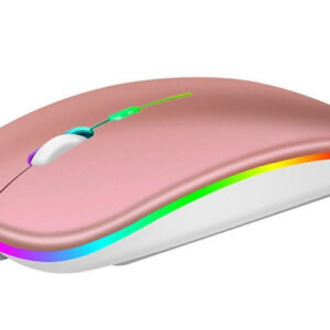 Mouse Wireless Reincarcabil