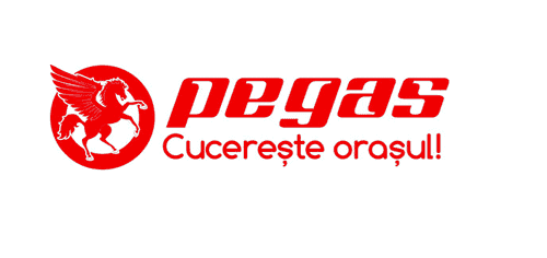 Casca Pegas Robita, material ABS, ventilatie 11 gauri, reglaj circumferinta cap, marime M (57-59), Alb