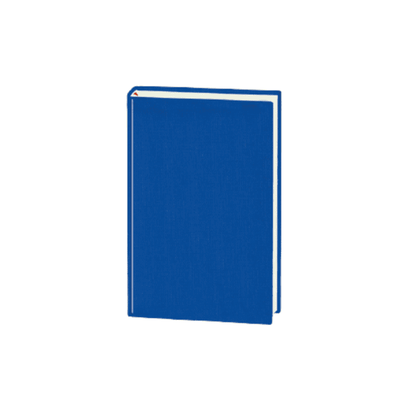 Agenda A5 Zilnica Ego Basic