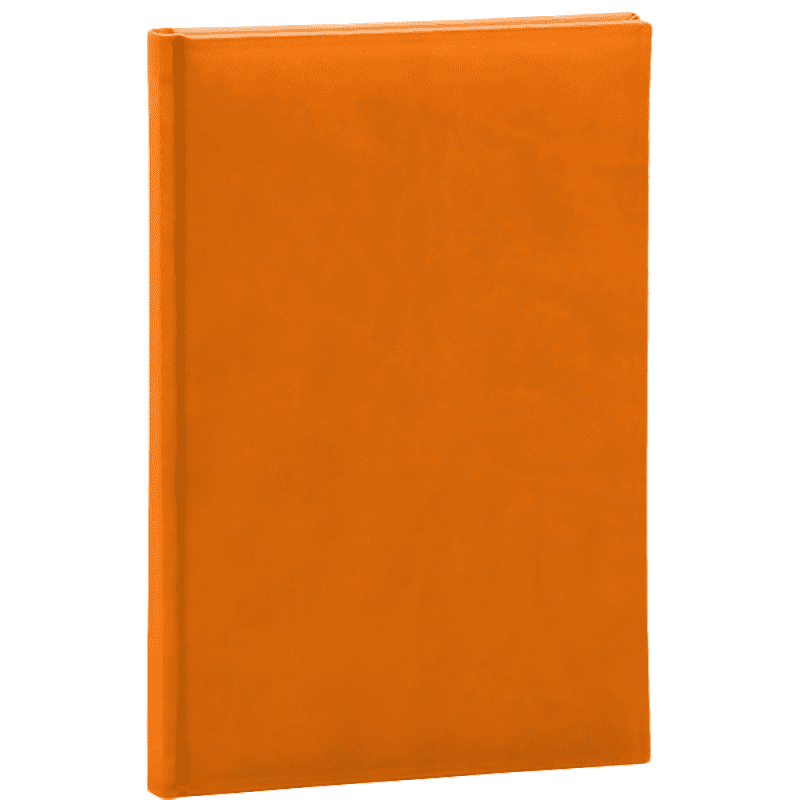 Agenda Zilnica A5 Ego Capri