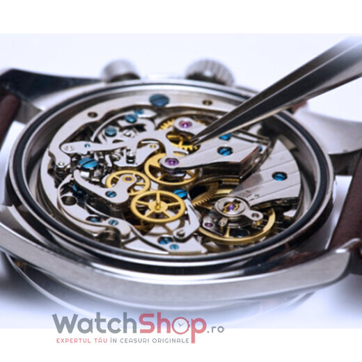 WatchShop Constatare ceasuri mecanice/automatice