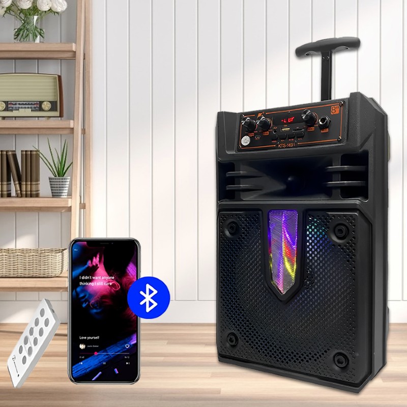 Boxa activa Karaoke Bluetooth