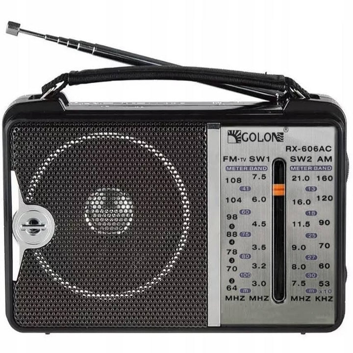 Radio FM portabil