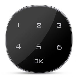 Incuietoare Inteligenta Techstar®